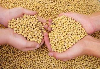 soybeans hands