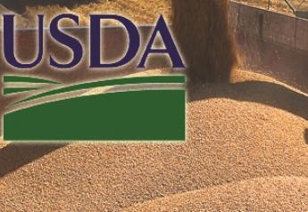 USDA harvested corn