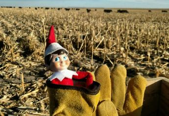 This elf would rather spend his time on the ranch than on a shelf.