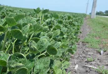 Minnesota Proposes Dicamba Label Changes 