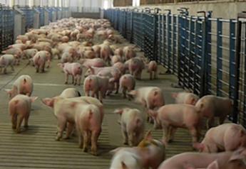 Smithfield Posts Record Profit After Pork Prices Gain