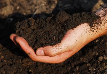Healthy Soil? Not Before You Address These Three Things