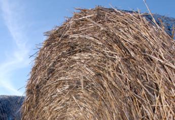 During Drought, Consider Baling Corn Silage