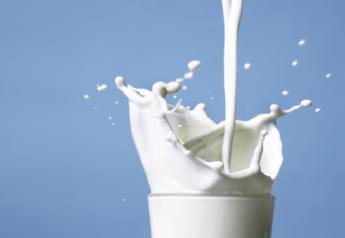 Milk Markets Move Higher