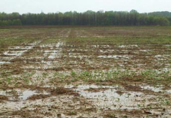 rain flooded field