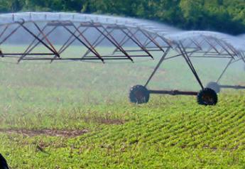 soybean irrigation