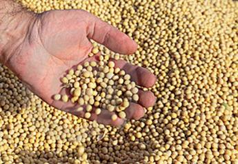 Why are Soybean Futures Above $10?