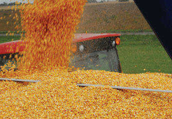 unloading corn