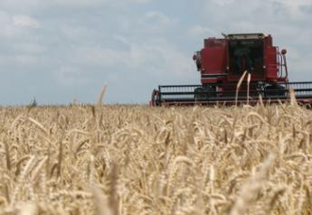 wheat harvest 2