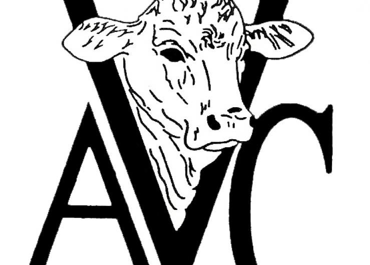 AVC is continuing the tradition to gather thoughtful, dedicated bovine veterinarians looking to continue the fight against bovine disease. 