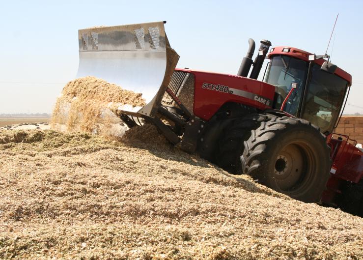 This Is Not A Typical Year For Corn Silage