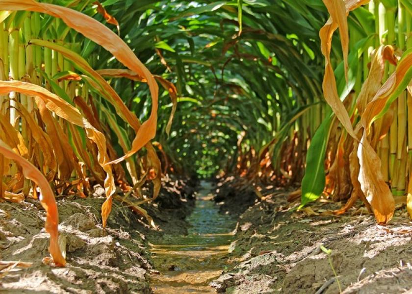 Agriculture Beware: Groundwater Future Belongs to SCOTUS