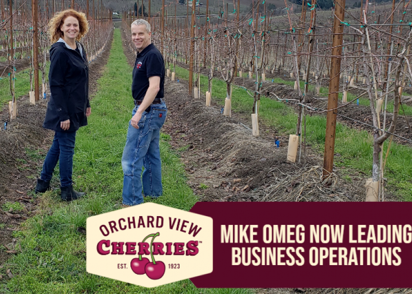 Mike Omeg promoted to head of business operations at Orchard View