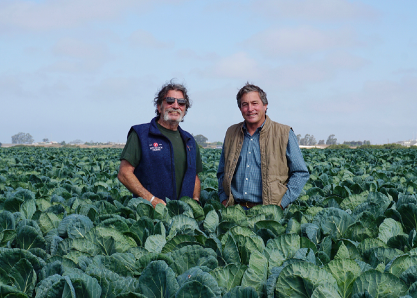 Hitchcock Farms acquires Brussels sprouts grower Pfyffer Associates