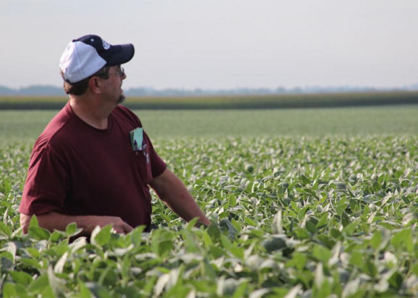 Crop Tour Scouts Weigh-In on Expectations
