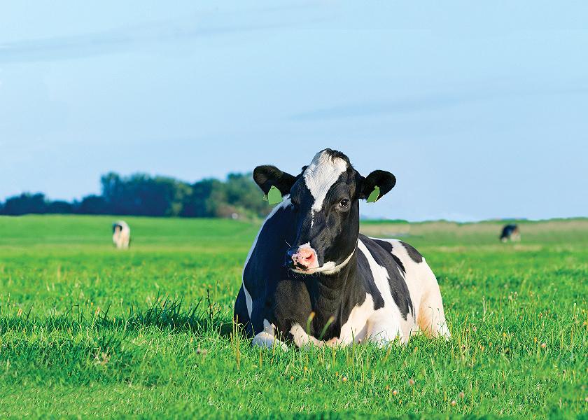 The dairy industry is well positioned to take a leading role in achieving climate neutrality – while simultaneously opening up new revenue streams for producers.
