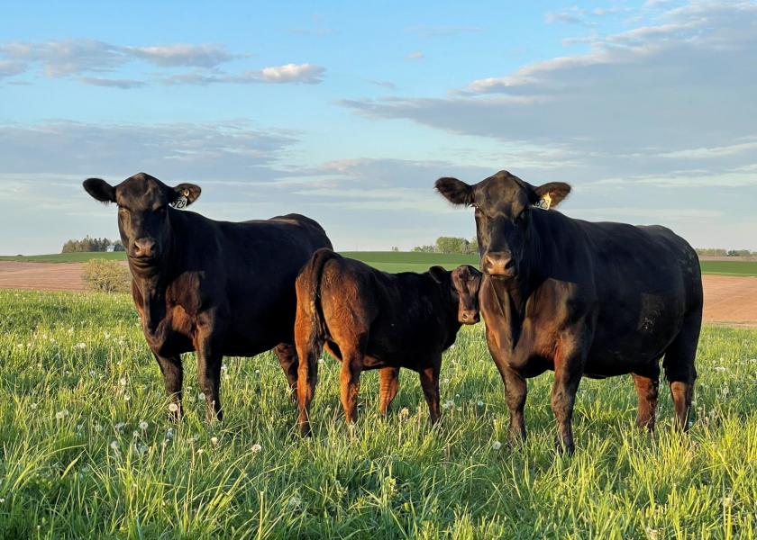 In a year like this, taking time to evaluate your herd and its present genetics may be valuable to set your operation up for success in the coming years.