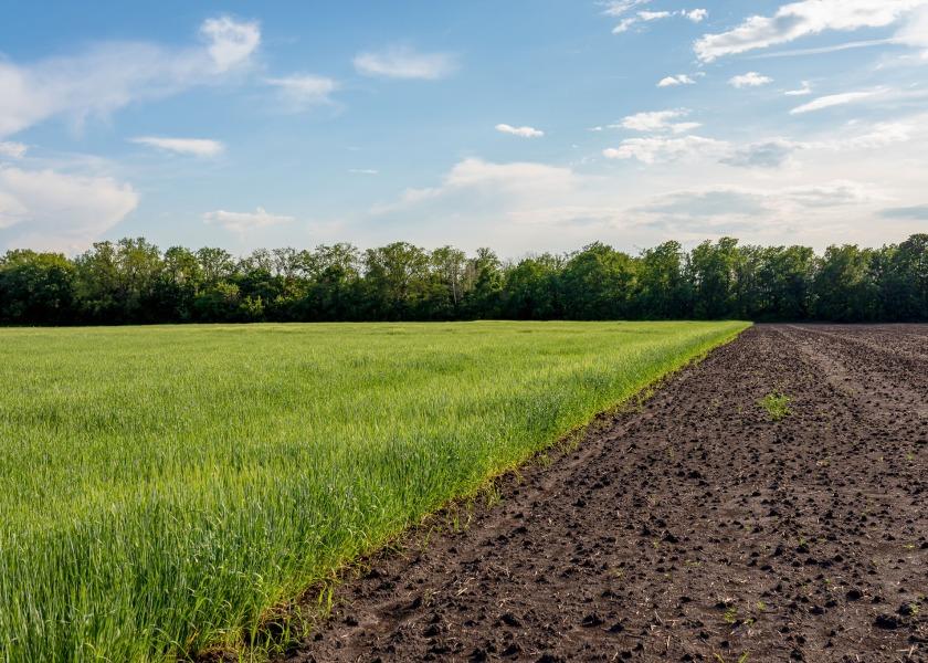 The Foundation for Food and Agriculture Research and other investors have awarded funds to New Mexico State University to explore potential water conservation from fallowing agricultural land in arid climates. 