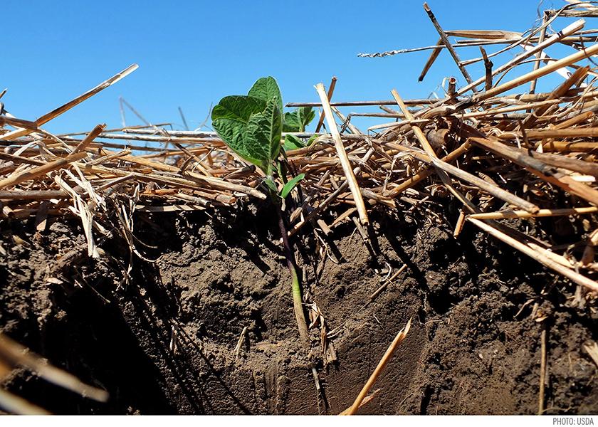 Healthier soil means more water for crops.