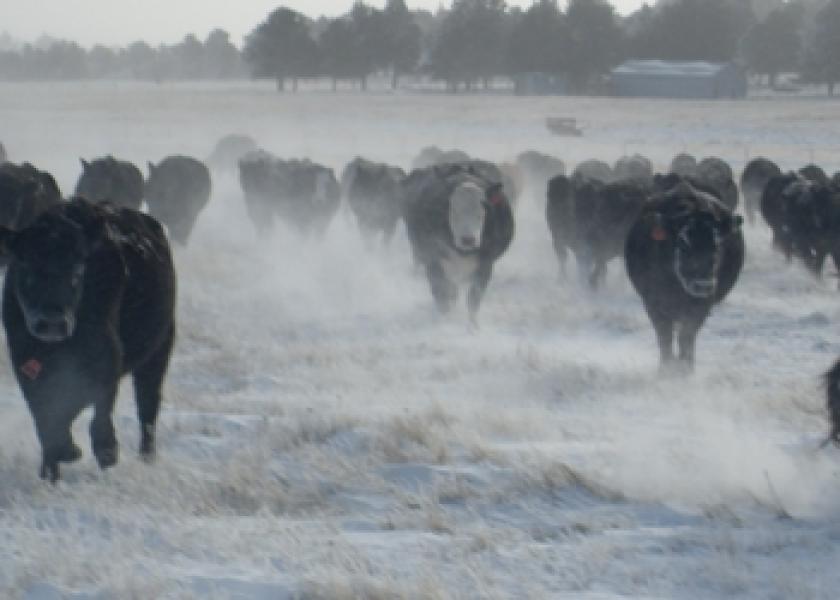 South Dakota Lawmakers Push for Quick Relief for Ranchers