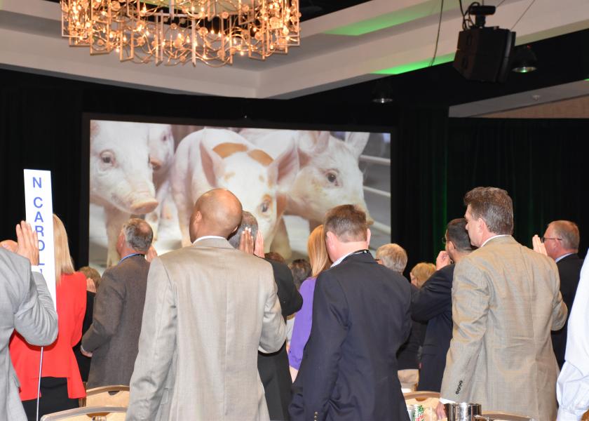 USDA Appoints Members to National Pork Producers Delegate Body