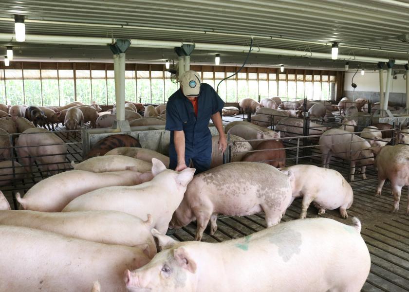 Pig Farmers: Are We Going to Produce Food in the U.S. or Not?