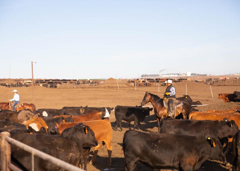 Wilson Cattle Company & Beef Northwest cast a vision for the future of beef production.