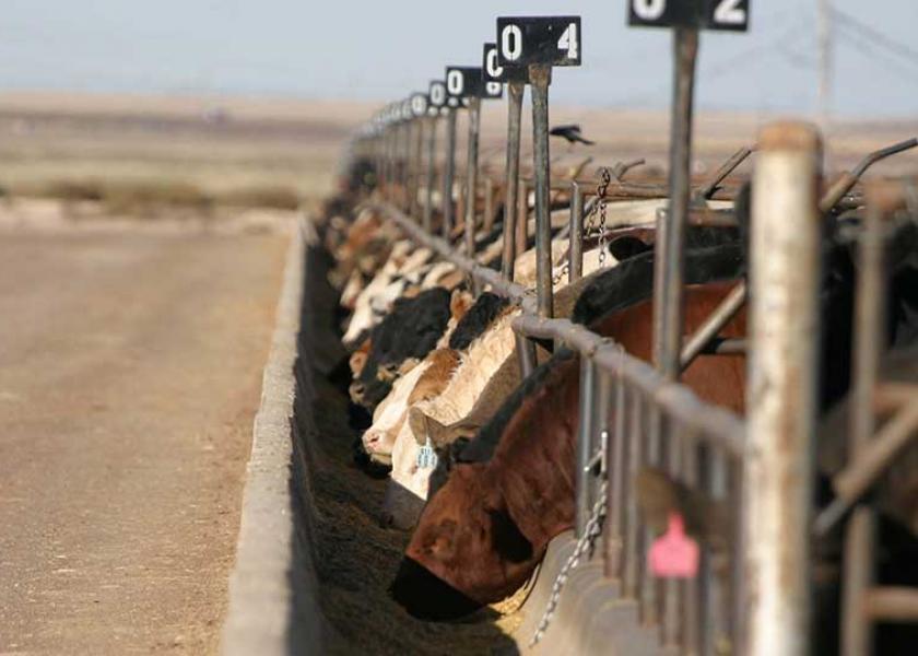 Weaned calves continue to bring a premium at auction.
