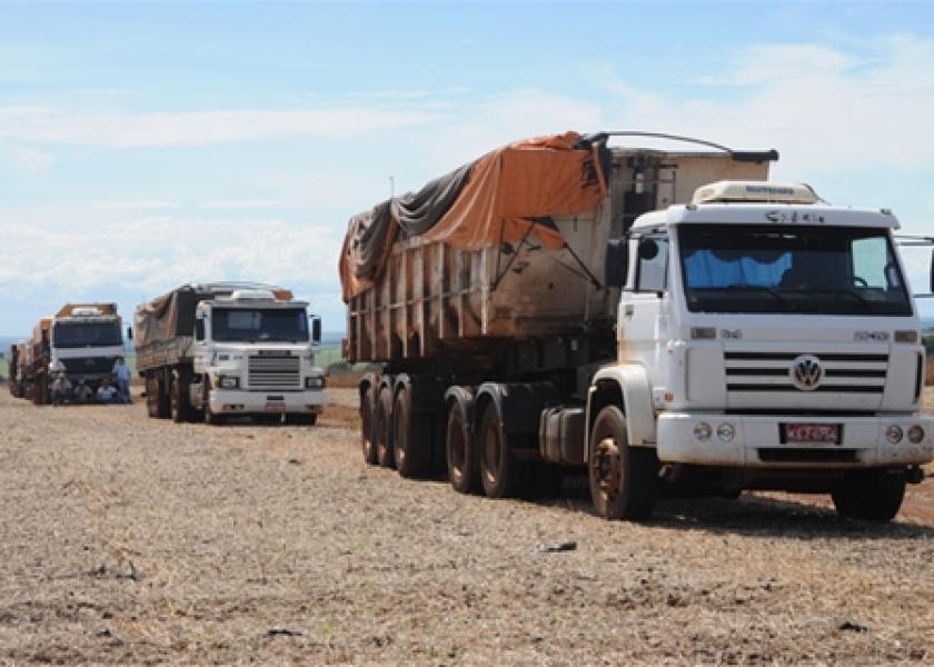 web Brazil Harvest trucks2
