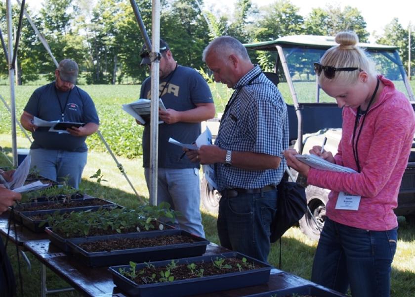 Corn College attendees test their weed knowledge during a Corn College session.