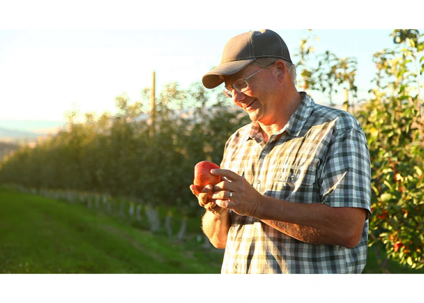 Harvest of flavorful Autumn Glory apples begins at Superfresh