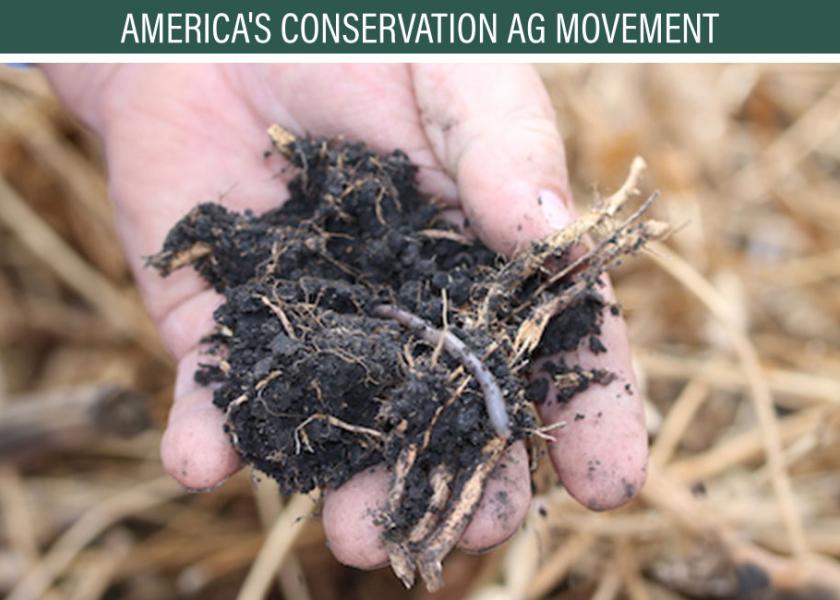 Farmers aren't the only ones who like healthy soils--so do earthworms.