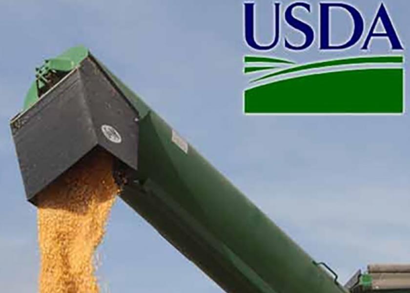 USDA expected to lower corn yields in the September report