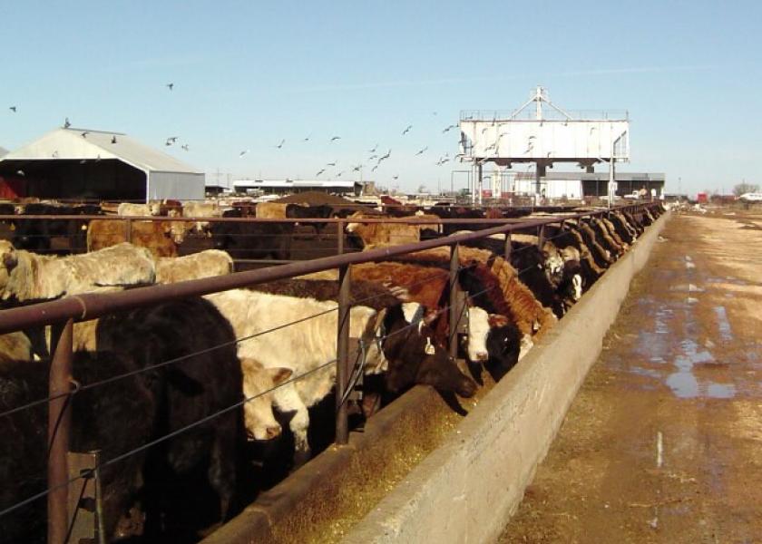 The President made a broad statement Tuesday about cattle imports, asking USDA Secretary Sonny Perdue to look into terminating bringing in cattle from other countries, a possible decision that could come with consequences. 