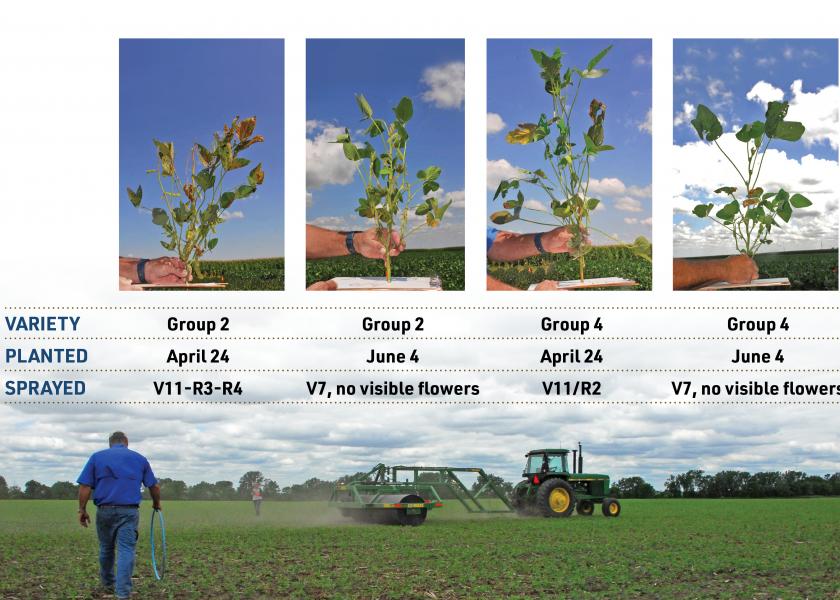 Early Stress Boosts Soybean Yield