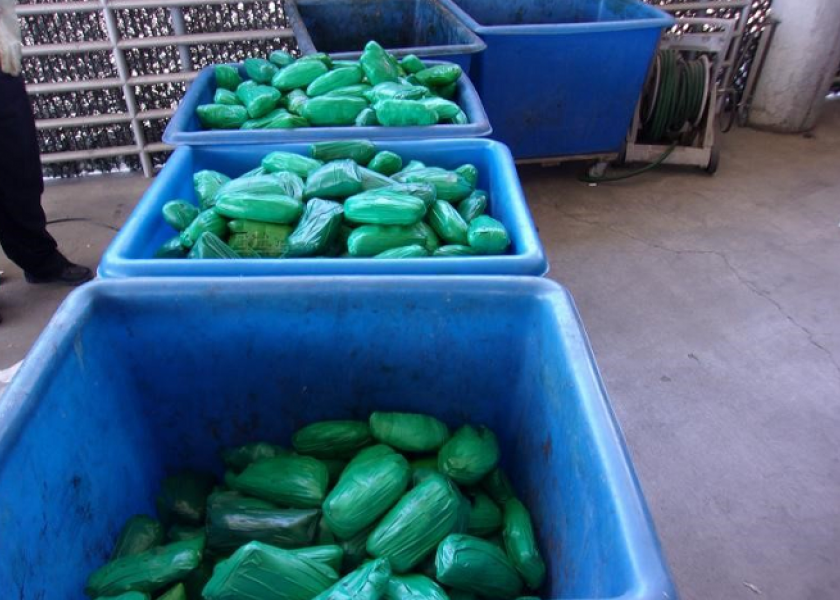 Officials seize drugs in produce shipments at California port 