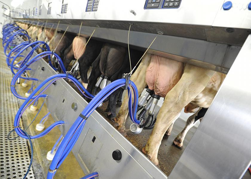 Rabobank Dairy Outlook: Not Out of the Woods Yet