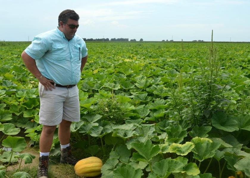 A switch to a no till cover crop system provided a booster shot to Johnny Hunter’s weed control, irrigation efficiency and overall soil health.