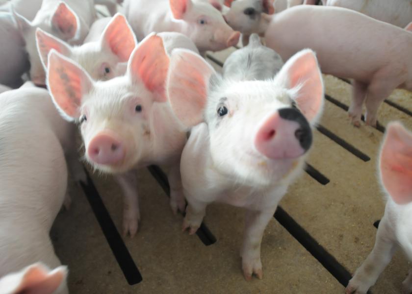Iowa Pork Regional Conferences Offer Health, Feed & Market Information