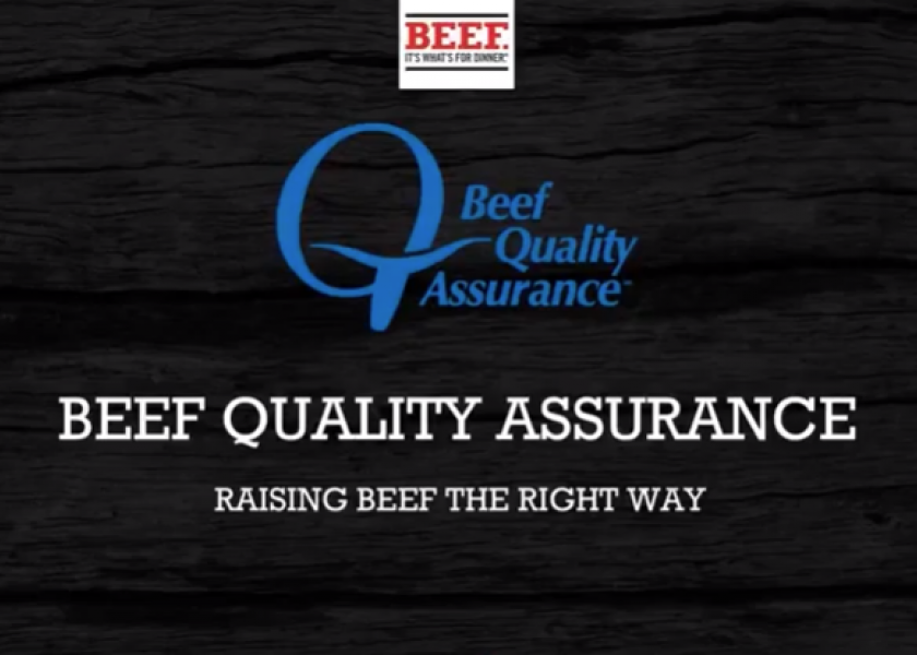 New Webinar: Beef Quality Assurance—Raising Beef the Right Way