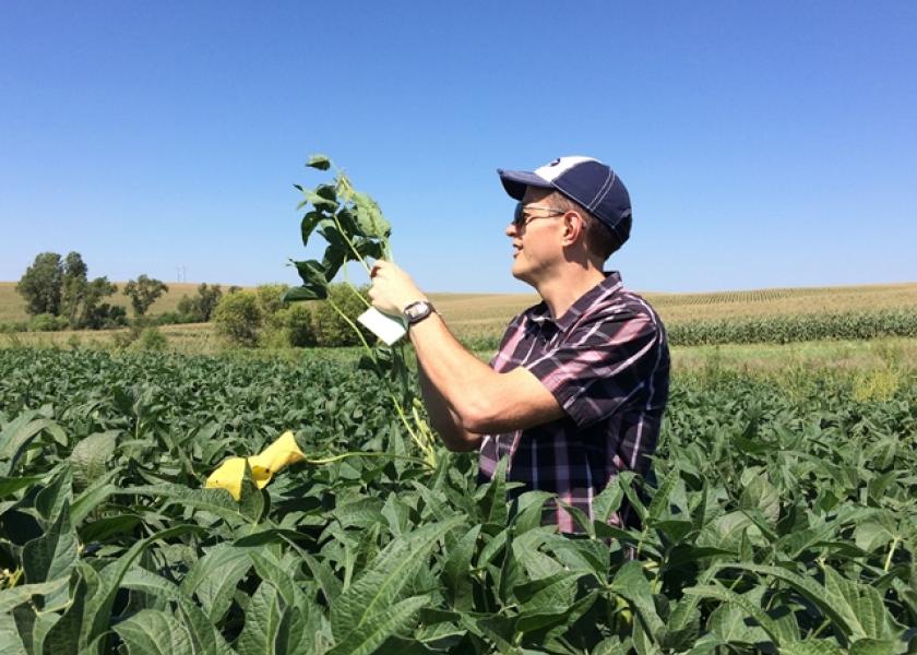 Tony Dahlman of USDA/NASS scouts soybeans on the 2016 Pro Farmer Midwest Crop Tour