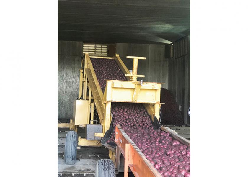 Nokota Packers Inc. started harvesting red potatoes the week of Sept. 14, says Mike Rerick, vice president of sales. “Everything is going smooth at this point,” he said the third week of September. He expects the harvest to continue into mid-October