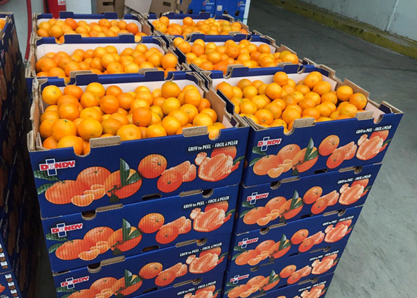 Dandy brand clementines from Chile.