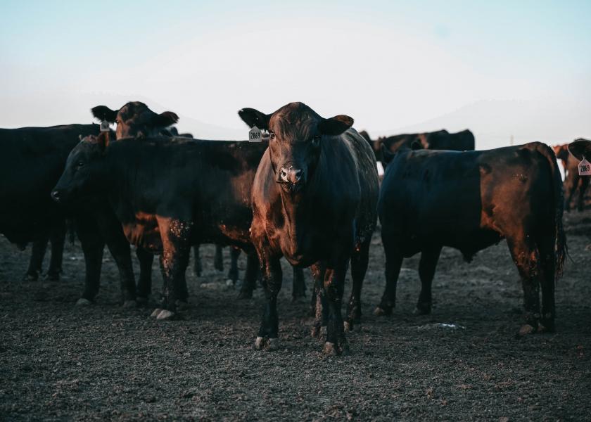 The industry's success relies on quality beef.