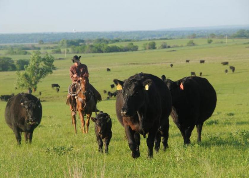 Some question OCM's support for ranchers.