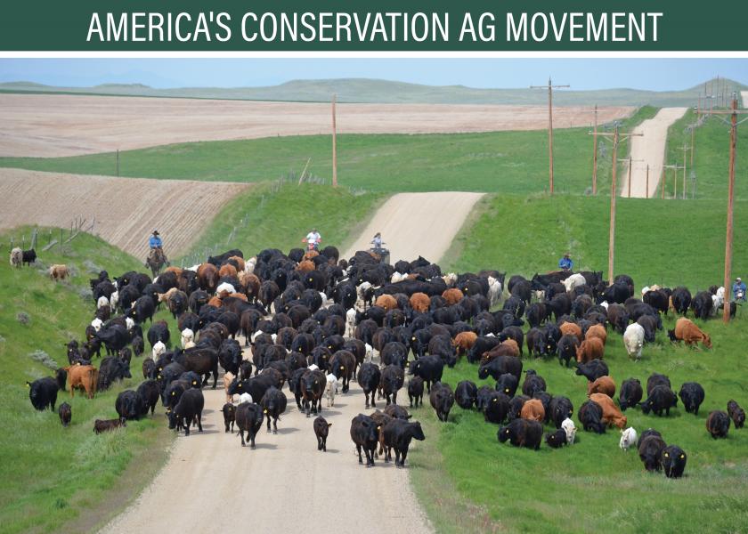 Common Ground for Cattle and Wildlife