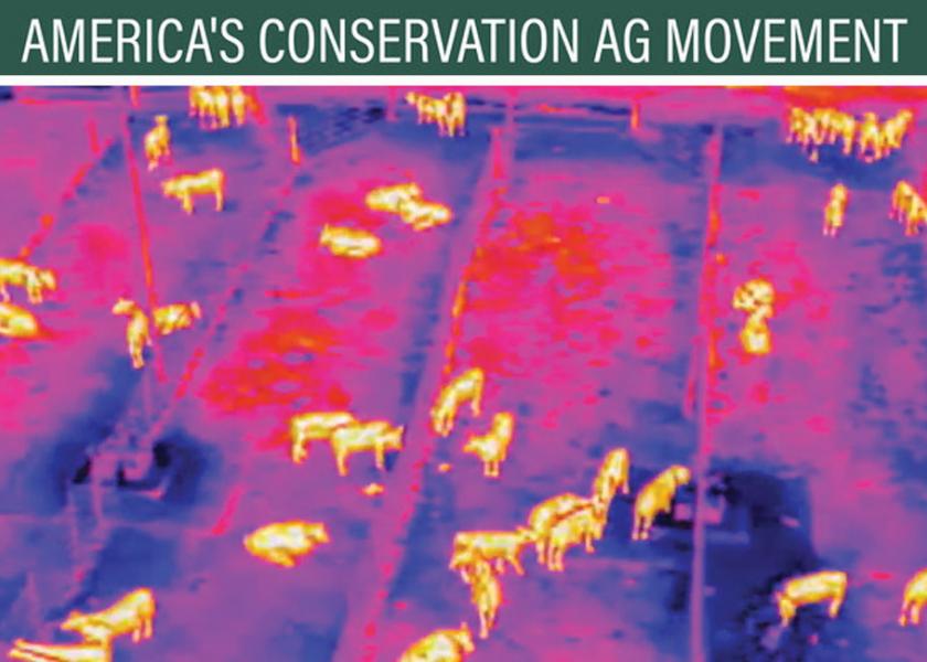 Drones with thermal imaging cameras have been buzzing over a research feedlot near Amarillo, as researchers develop test methods to identify feverish animals before they show symptoms of illness. 