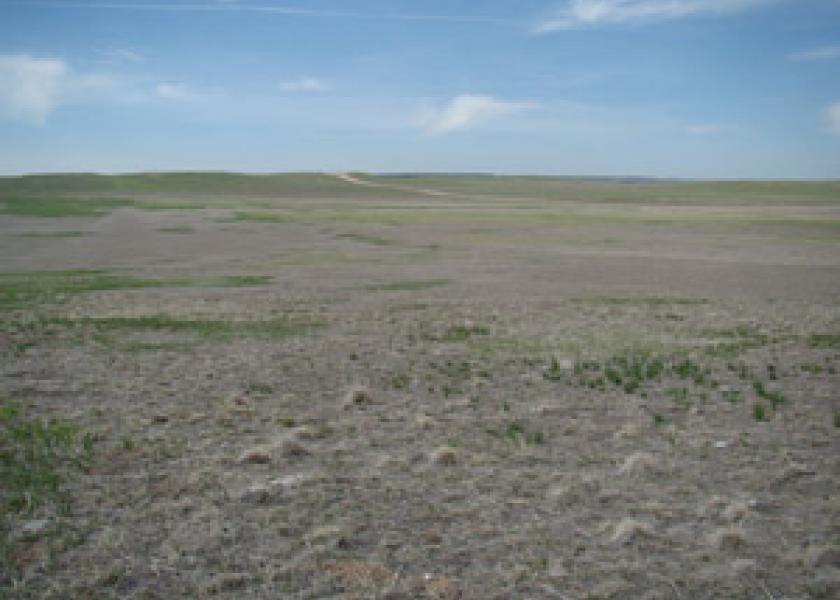 Apr2014 East of Road Gifford Pasture Looking South 300w