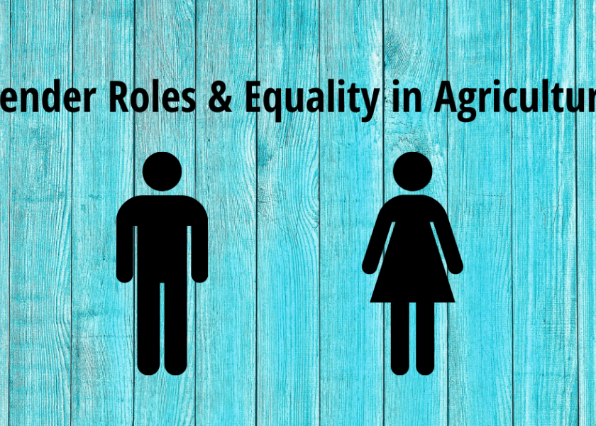 Gender Roles & Equality in Agriculture: A 2020 Update
