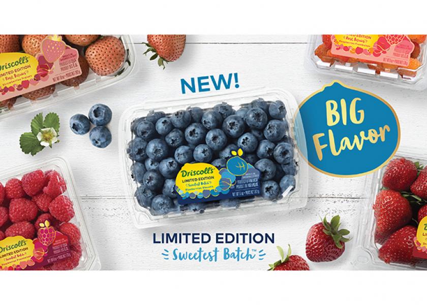Driscoll’s launches Sweetest Batch Blueberries